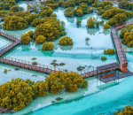 Sustainable Communities in UAE Real Estate