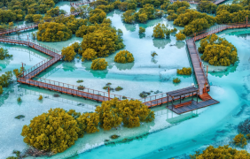 Sustainable Communities in UAE Real Estate