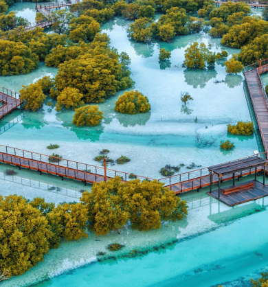Sustainable Communities in UAE Real Estate