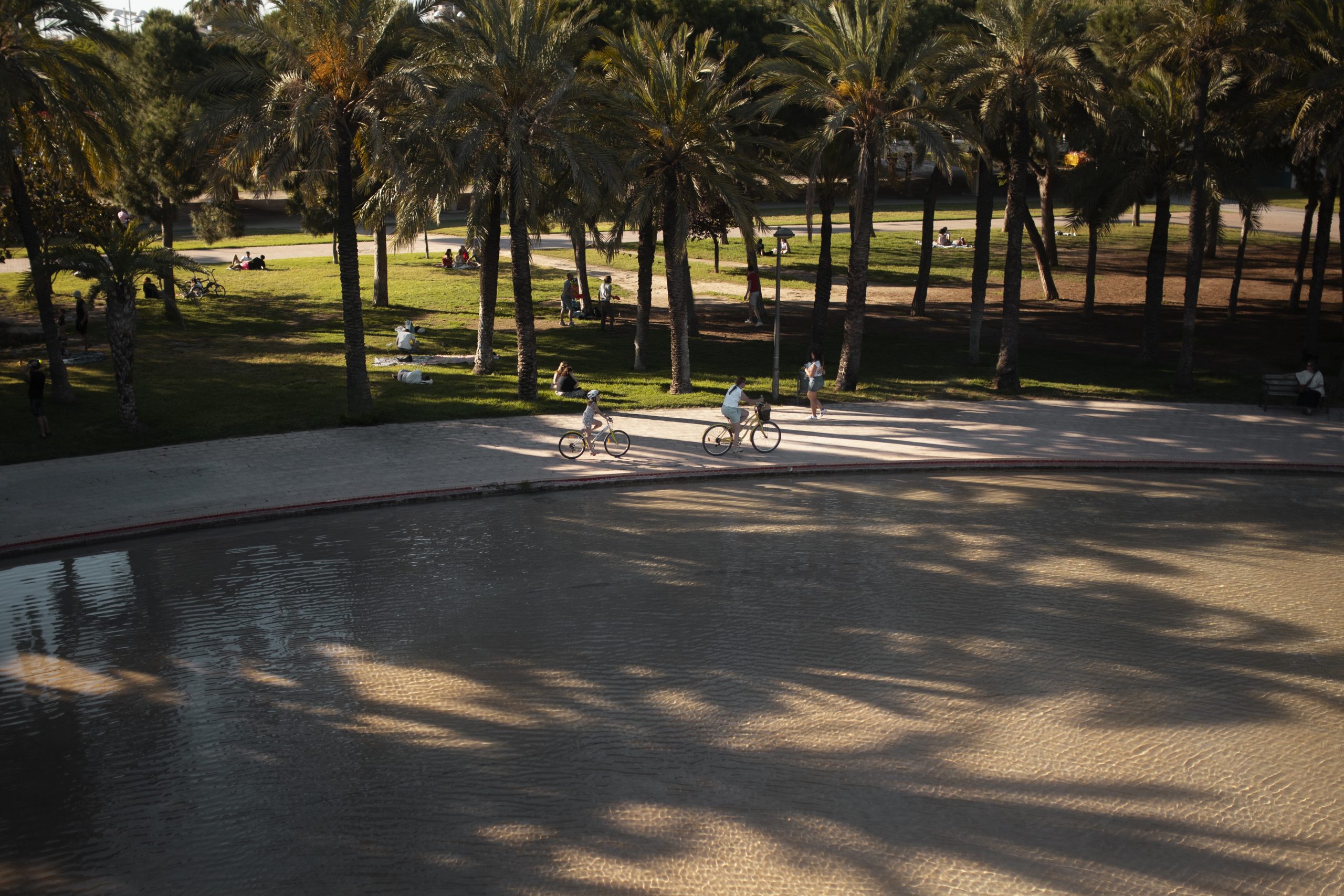 children riding bicycle in the park