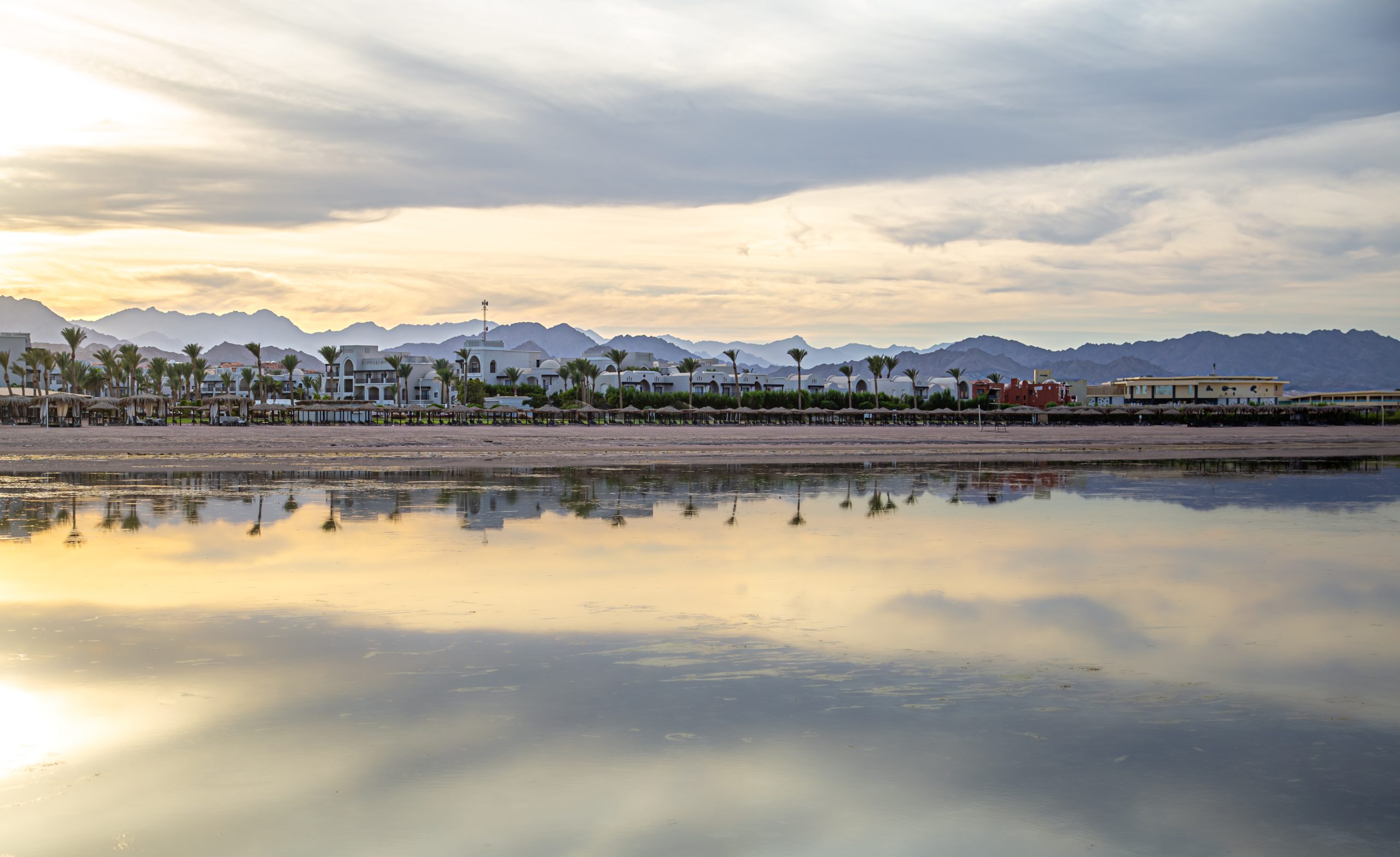 ساحل المدينة